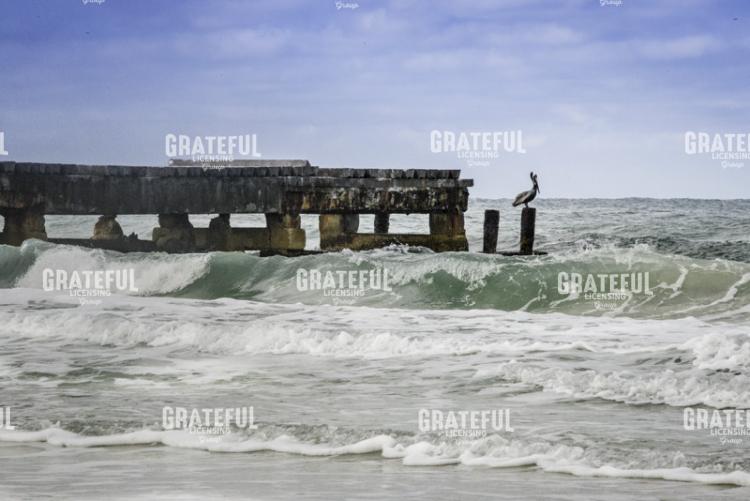 Wave Watching
