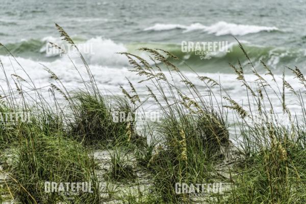 Wind and Waves