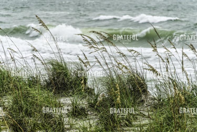 Wind and Waves