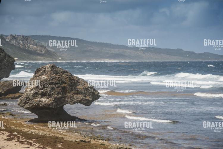 Camel Head Beach