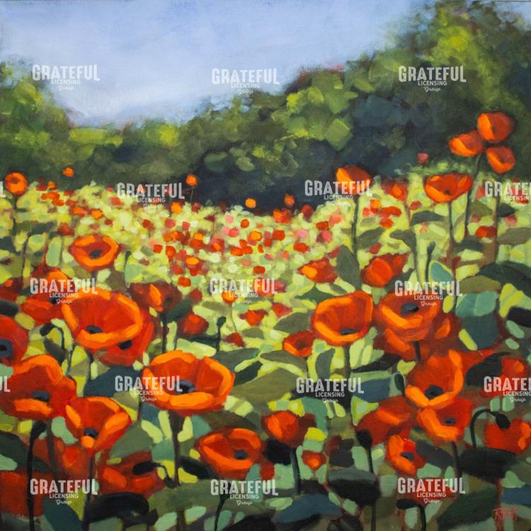 Poppies at Play