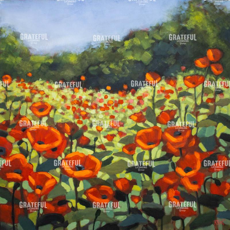 Poppies at Play