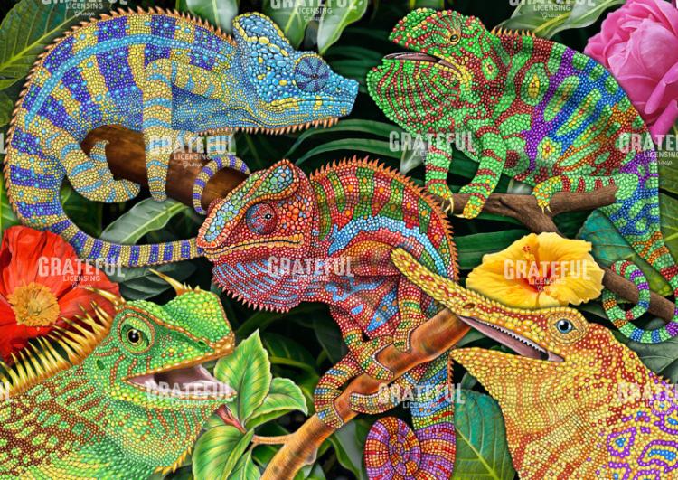Lizards Collage