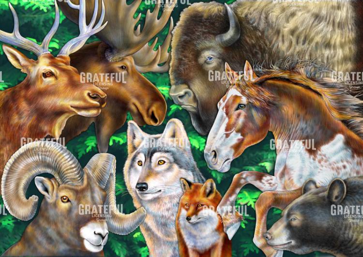 North American Wildlife