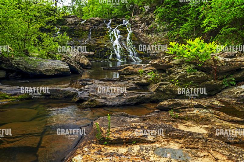 Salt Creek Falls.tif