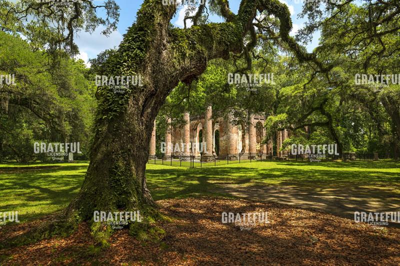 Sheldon Church Ruins.tif