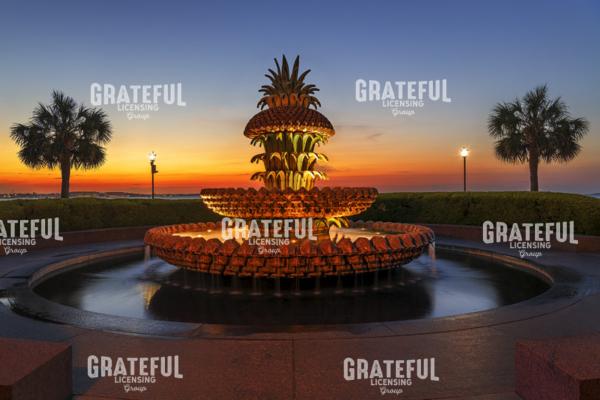 Pineapple Fountain Symmetry.tif