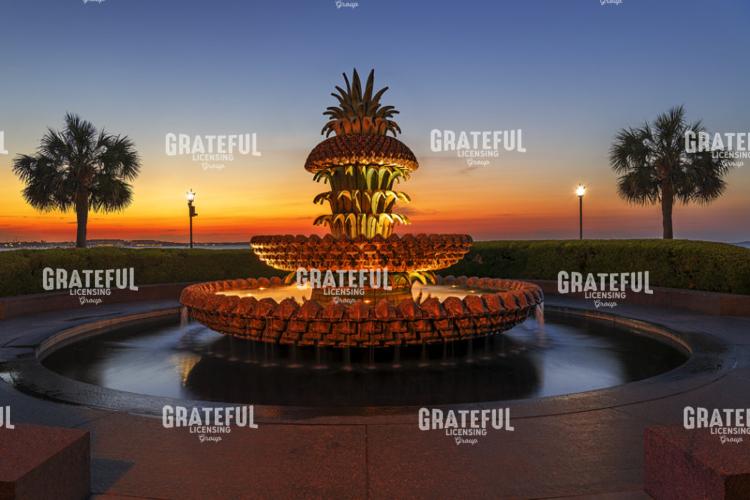 Pineapple Fountain Symmetry.tif