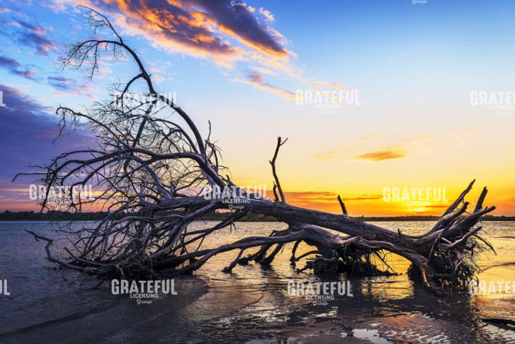 Sunset over the Matanzas Inlet.tif