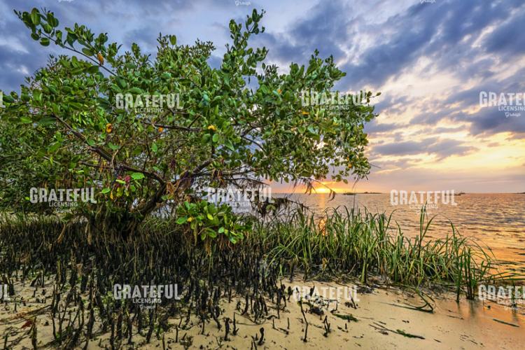Sunset at Bird Creek Beach.tif