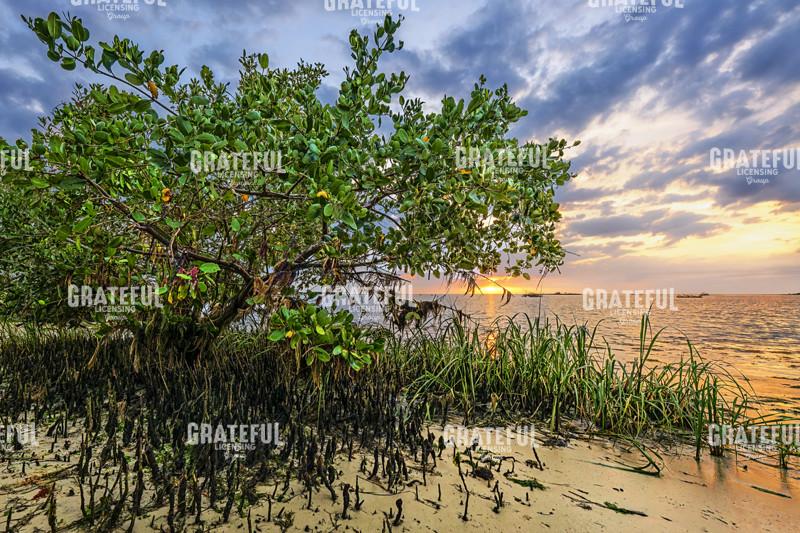 Sunset at Bird Creek Beach.tif