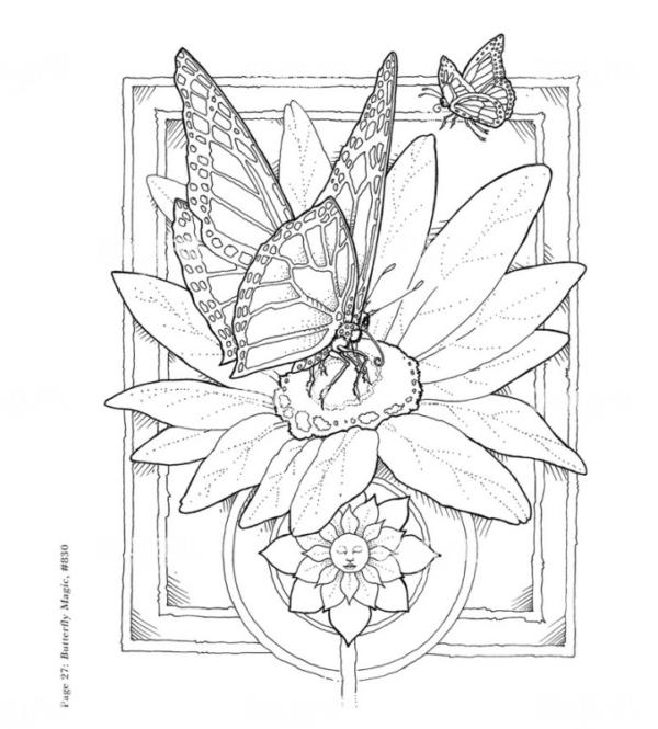 Butterfly Magic Sketch