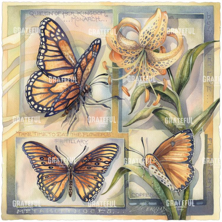 Don't Let Life Flutter Bye