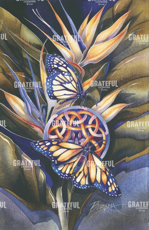 Wings Of Transformation