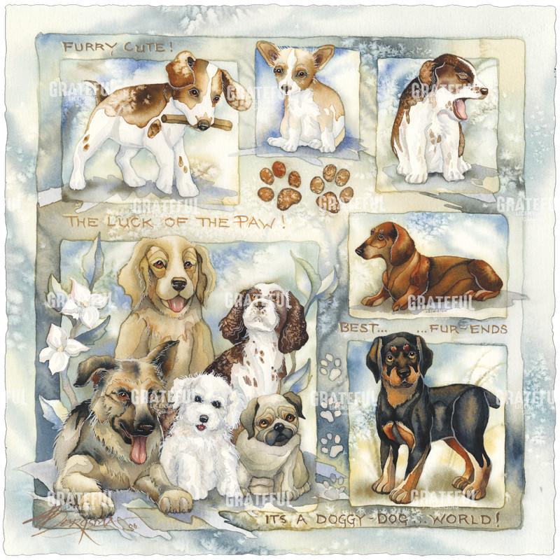 It's A Doggy Dog World