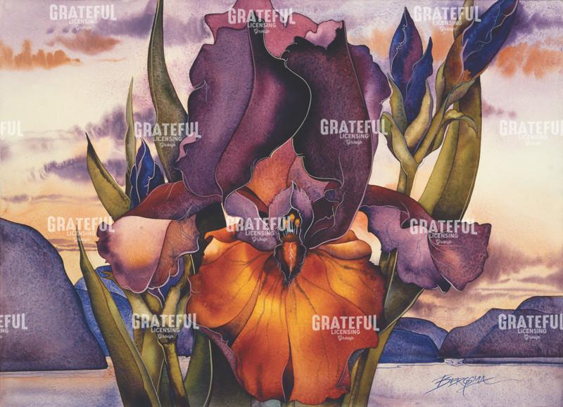 Fire Over The Islands