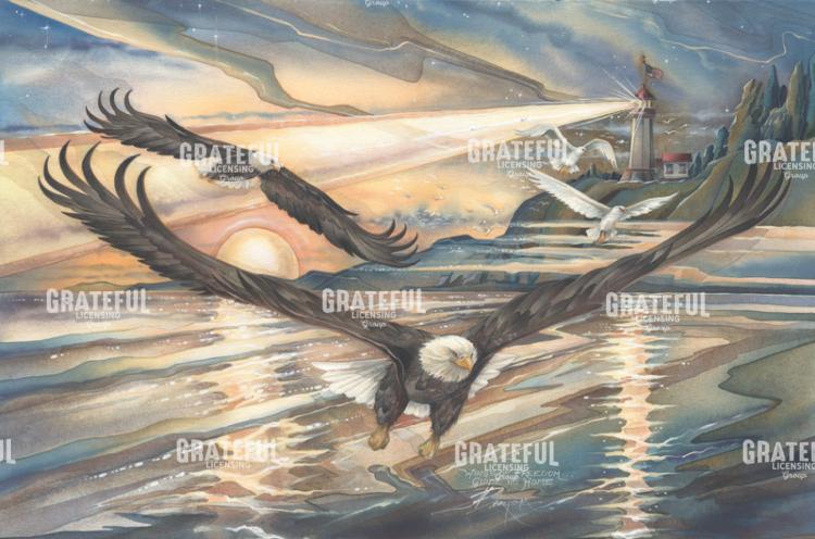 Wings Of Freedom