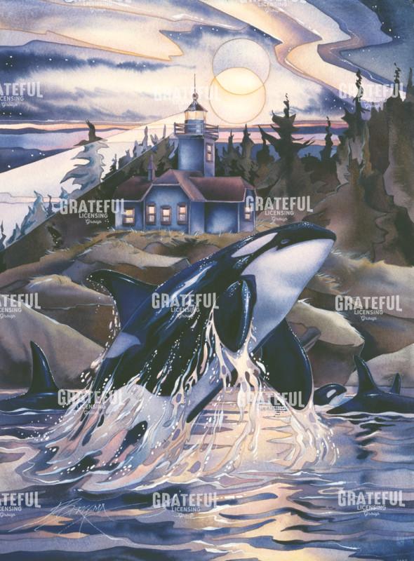 Journey To The Light