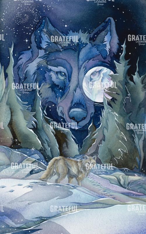 All Paths Lead To The Stars