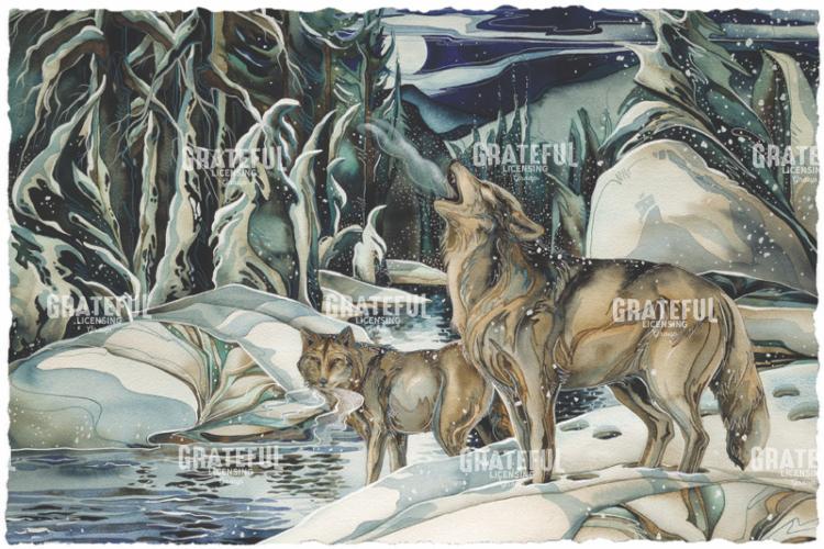 Wolf Clan