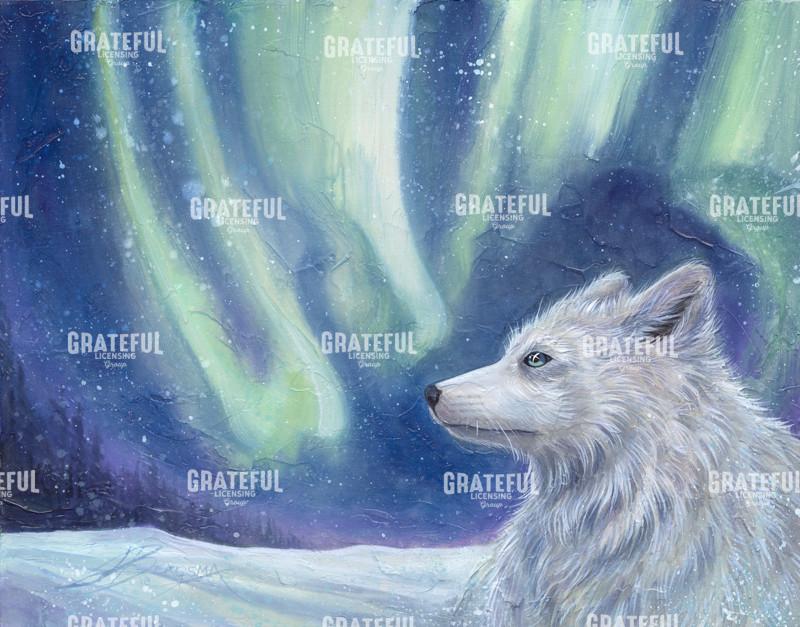 Dancing Lights Magic Nights