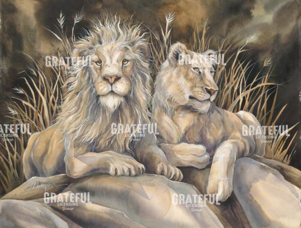 Untamed Spirit