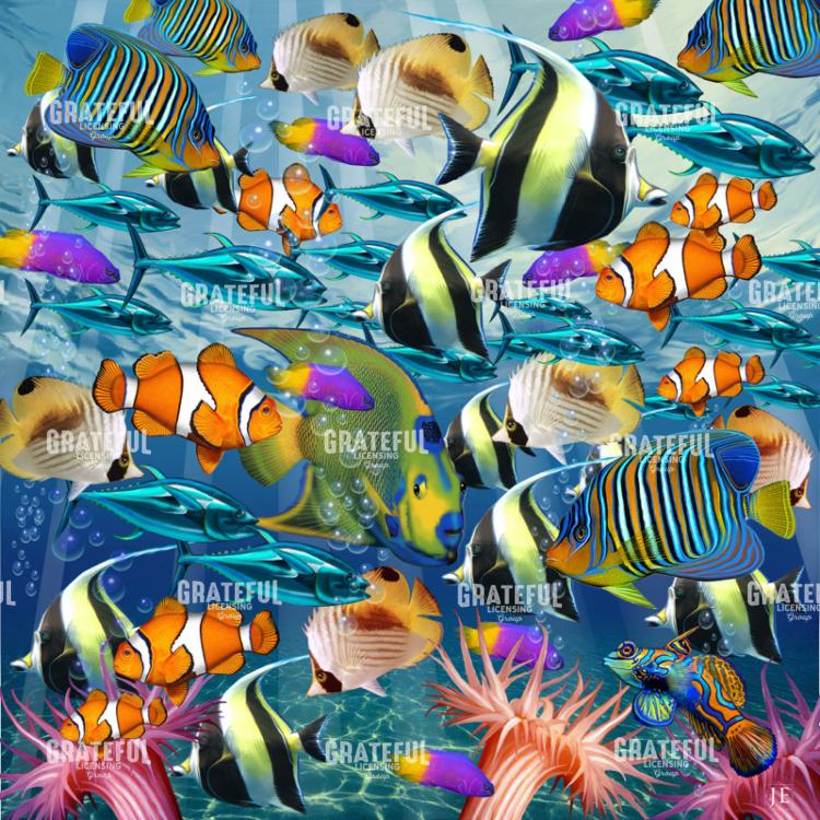 Multi Fish 2