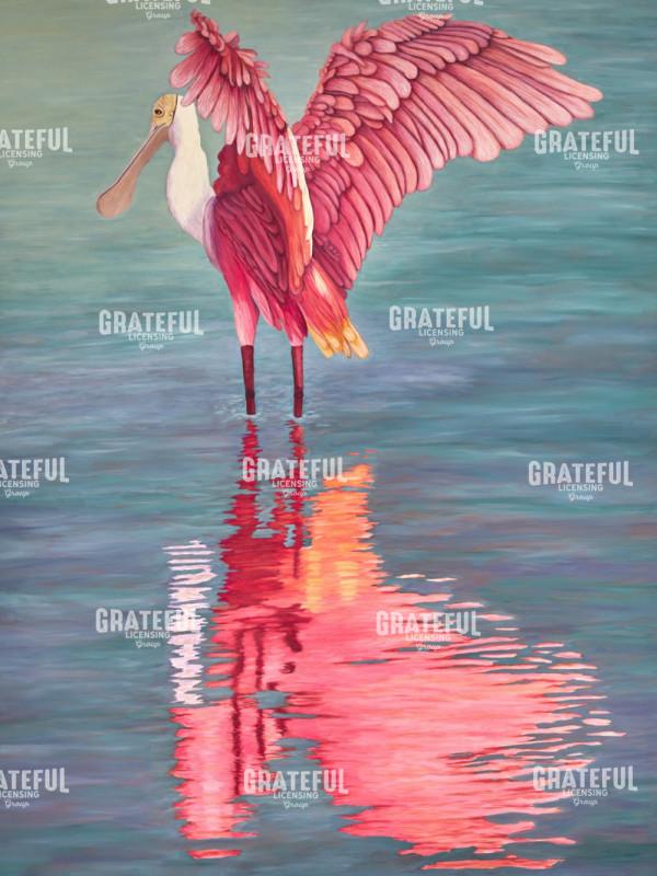 Roseate Spoonbill Mating Ritual Right