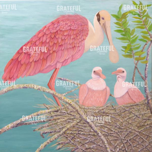 Roseate Spoonbill & Babies