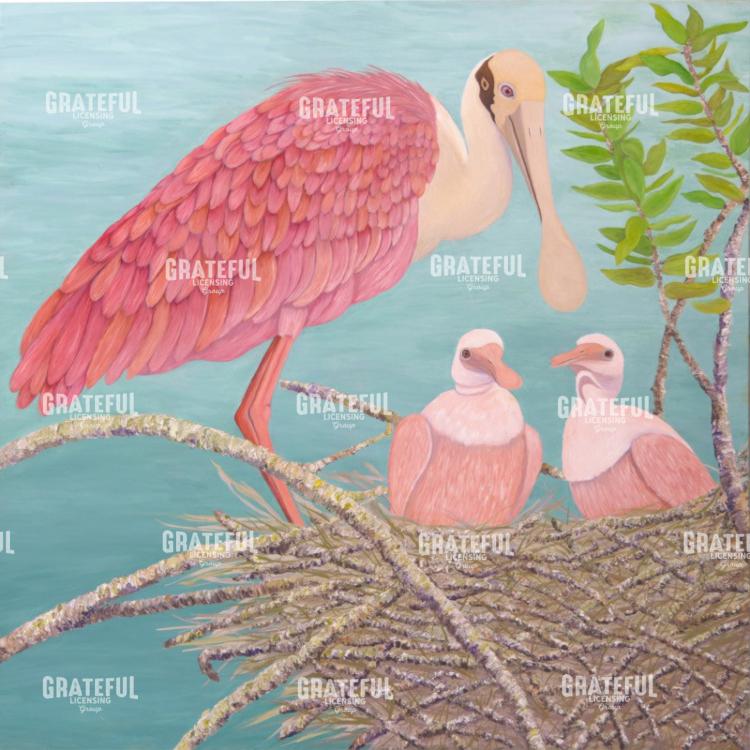 Roseate Spoonbill & Babies