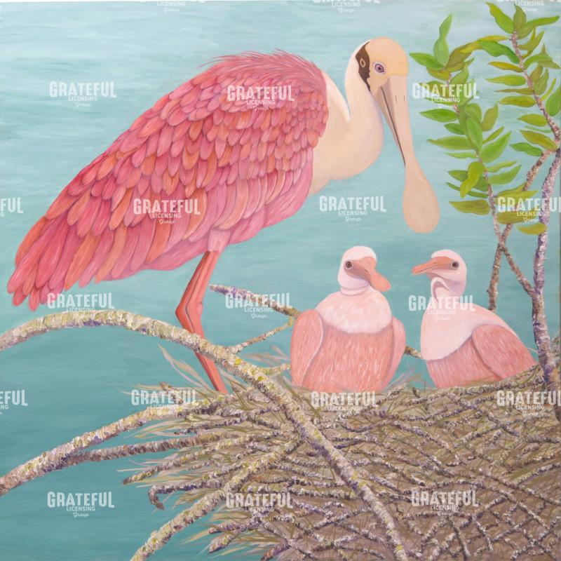 Roseate Spoonbill & Babies