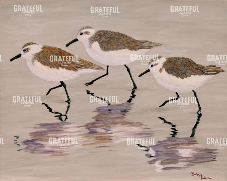 Three Spoonbilled Sandpipers