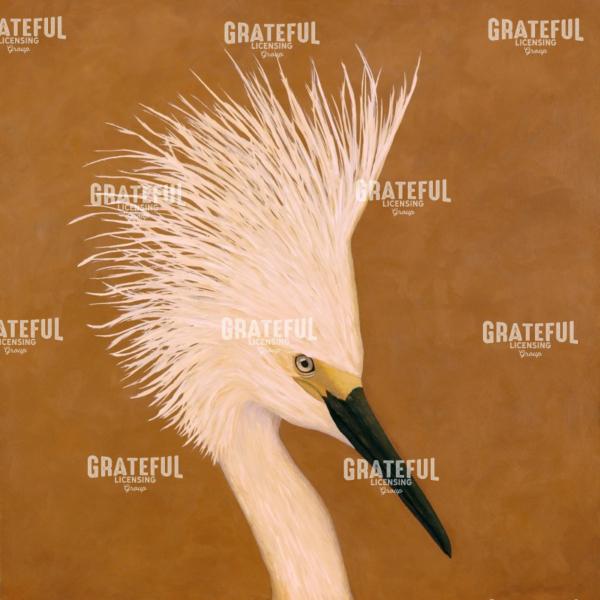 Snowy Egret Portrait