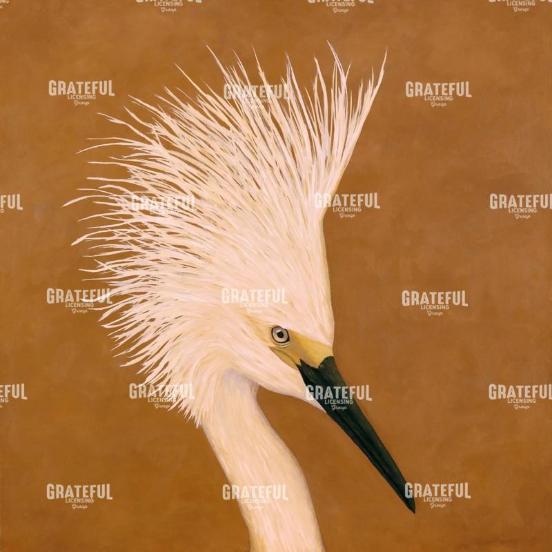 Snowy Egret Portrait