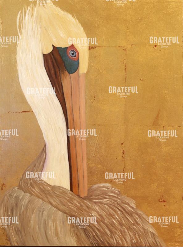 Brown Pelican Portrait In Gold
