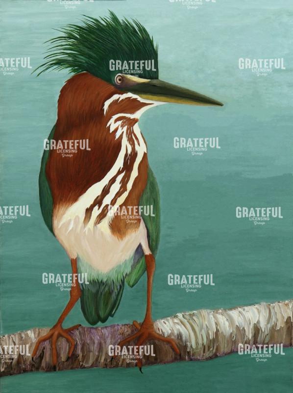 Green Heron Mother