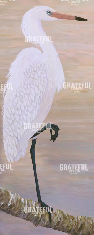 Reddish Egret Standing On Tree White Morphed