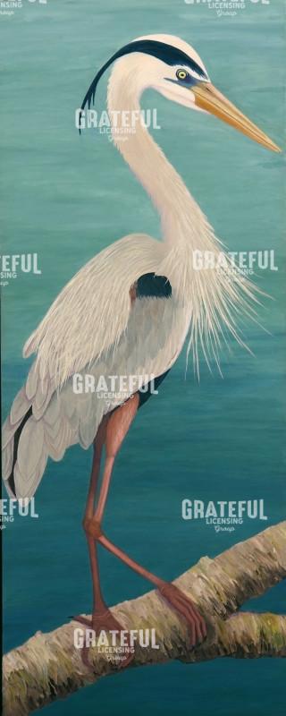 Great Blue Heron Mating Plumage