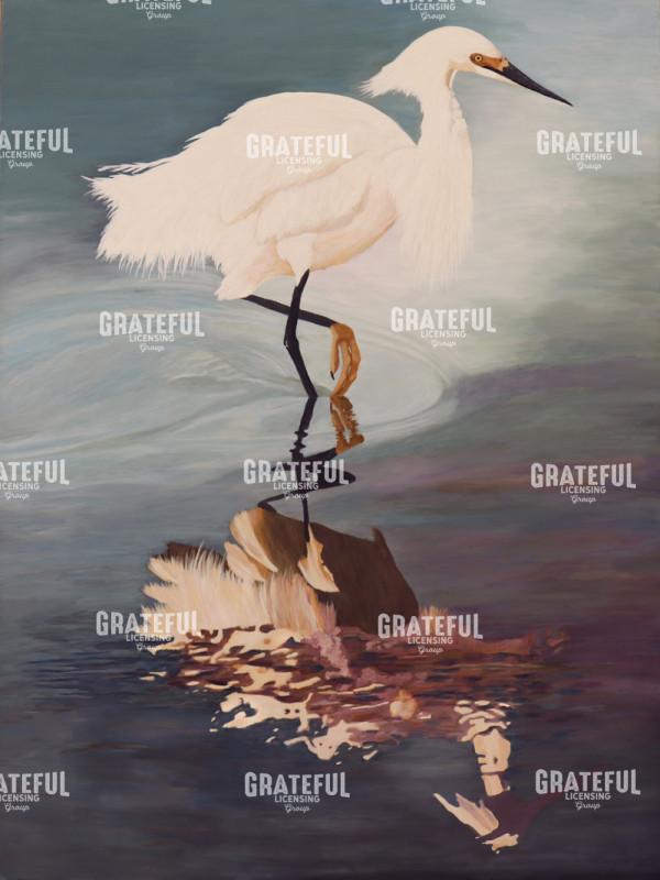 Snowy Egret's Golden Slipper Reflection