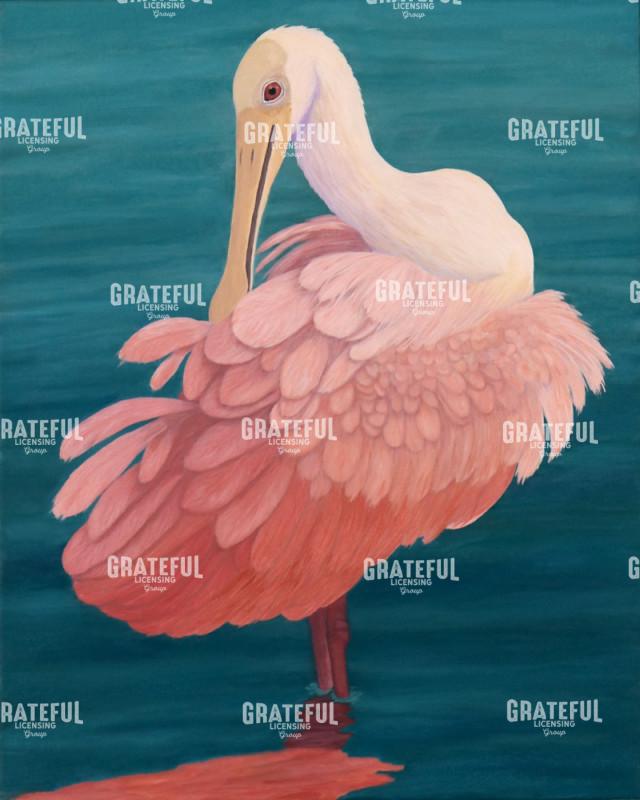 Roseate Spoonbill Preening