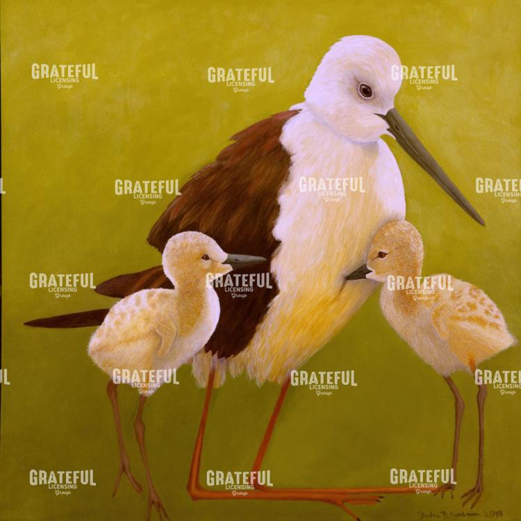 Stilt Mom & Chicks