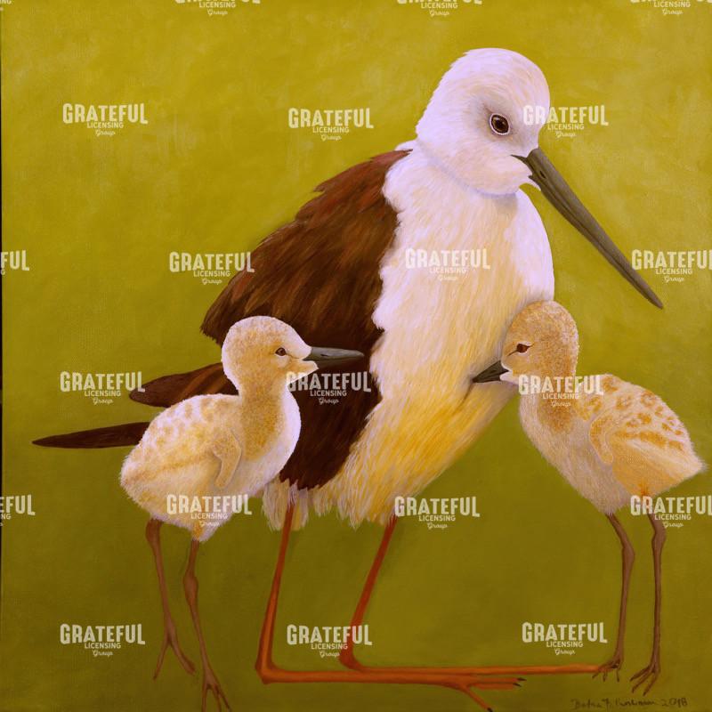 Stilt Mom & Chicks