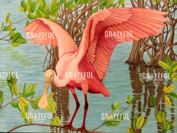 Roseate Spoonbill Fledgling Plays