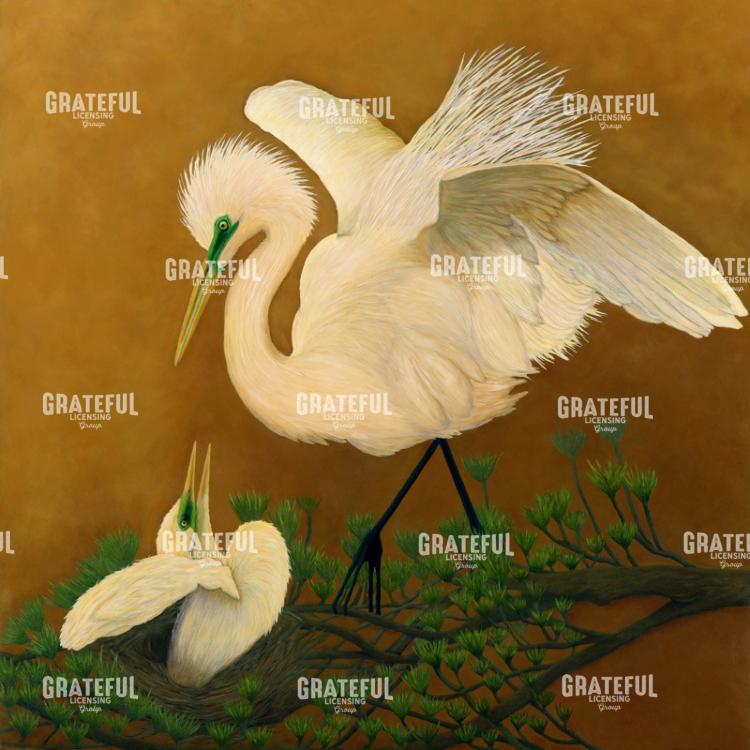 Great Egret & Baby