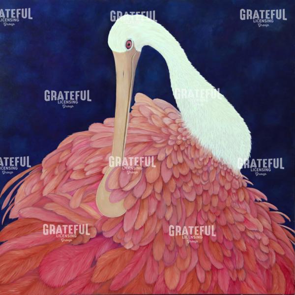 Close-up Roseate Spoonbill