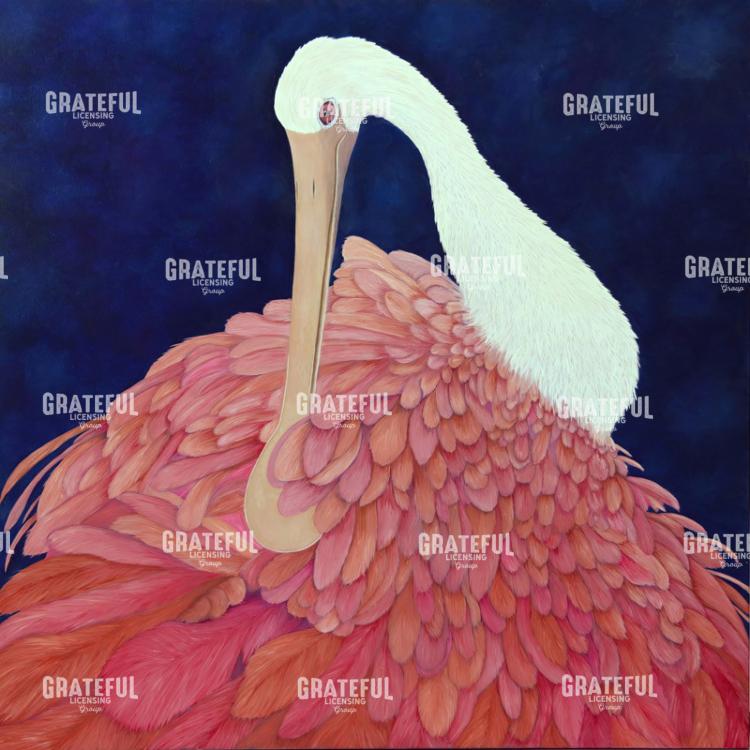 Close-up Roseate Spoonbill