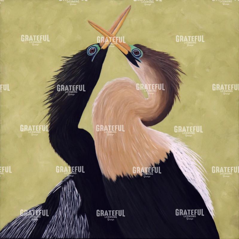 Immature Roseate Spoonbill Preening