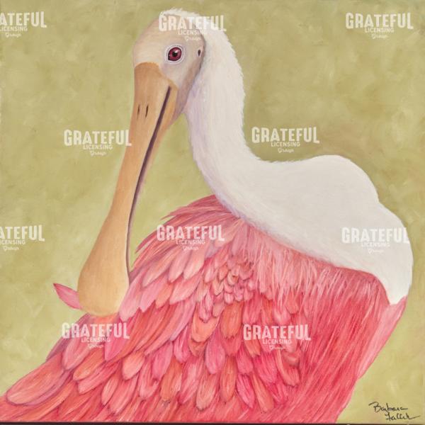 Immature Roseate Spoonbill Preening