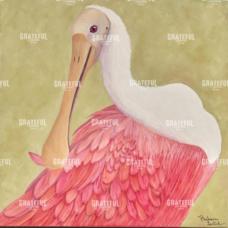 Immature Roseate Spoonbill Preening