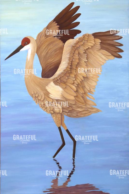 Sandhill Crane Mating Right